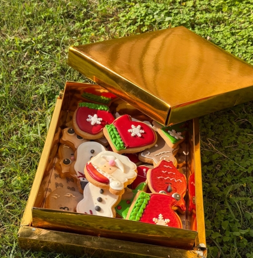 WhatsApp Image 2025-12-15 at 5.35.24 PM