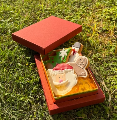 WhatsApp Image 2025-12-15 at 5.44.53 PM